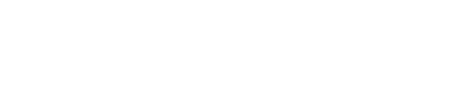 Secondary White Logo